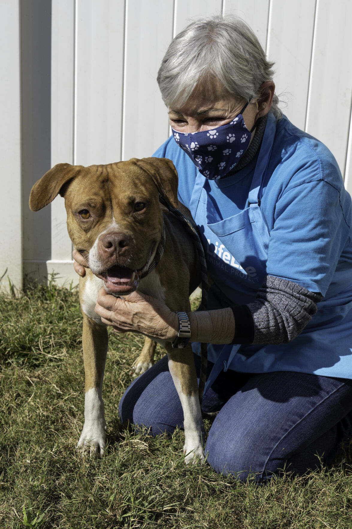 Pet of the Week: Muggs